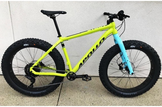 Apollo fat bike online