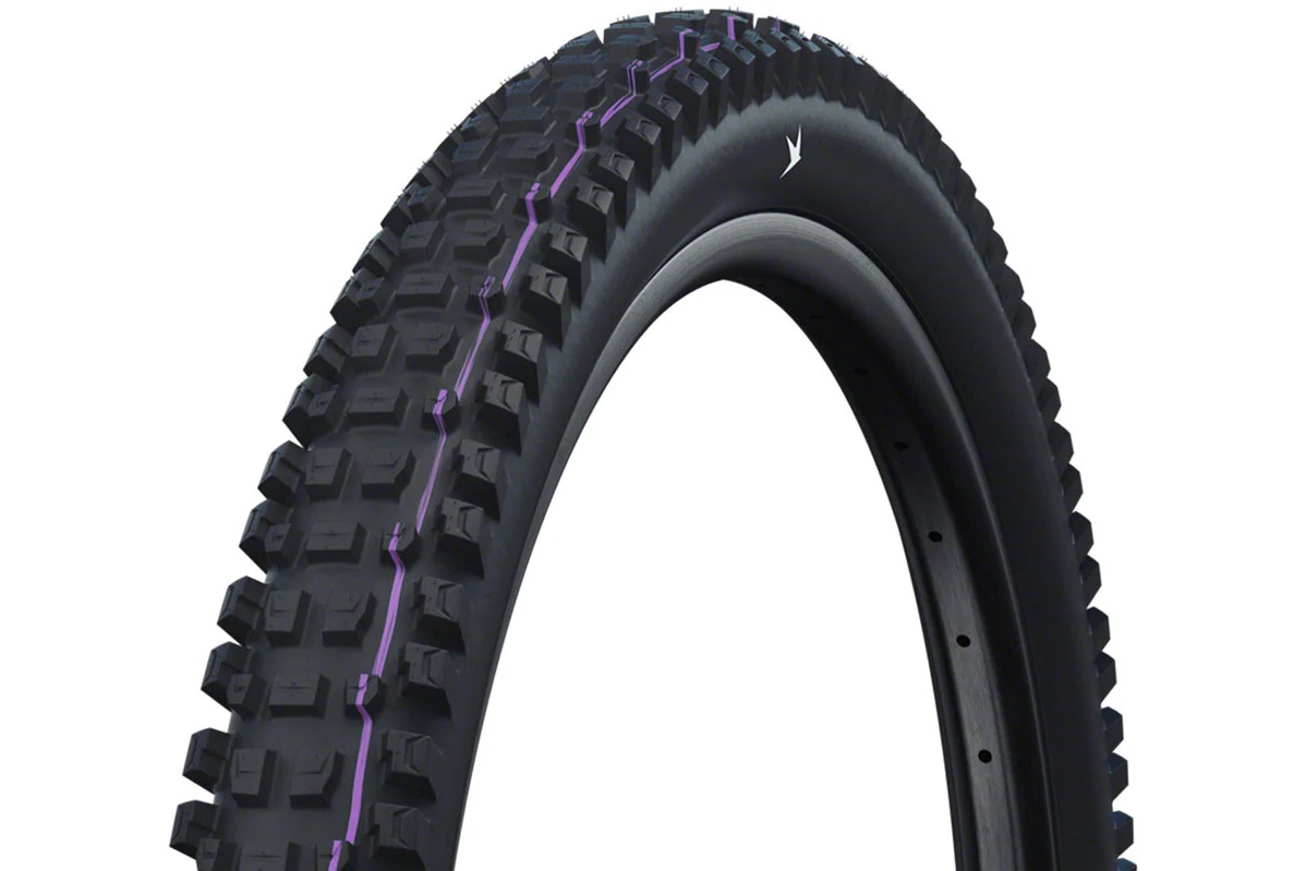 Schwalbe Albert Enduro Radial Tire