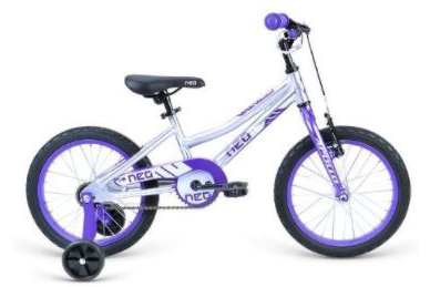 Apollo 2022 Neo Girls 16" Brushed Alloy/Purple