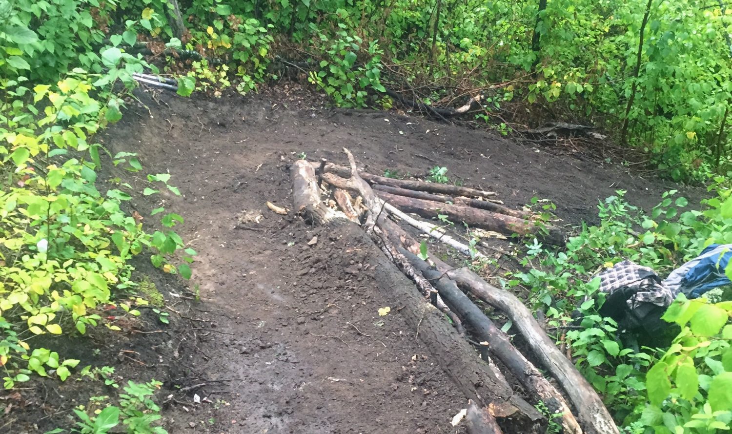 Edmonton Trails Image