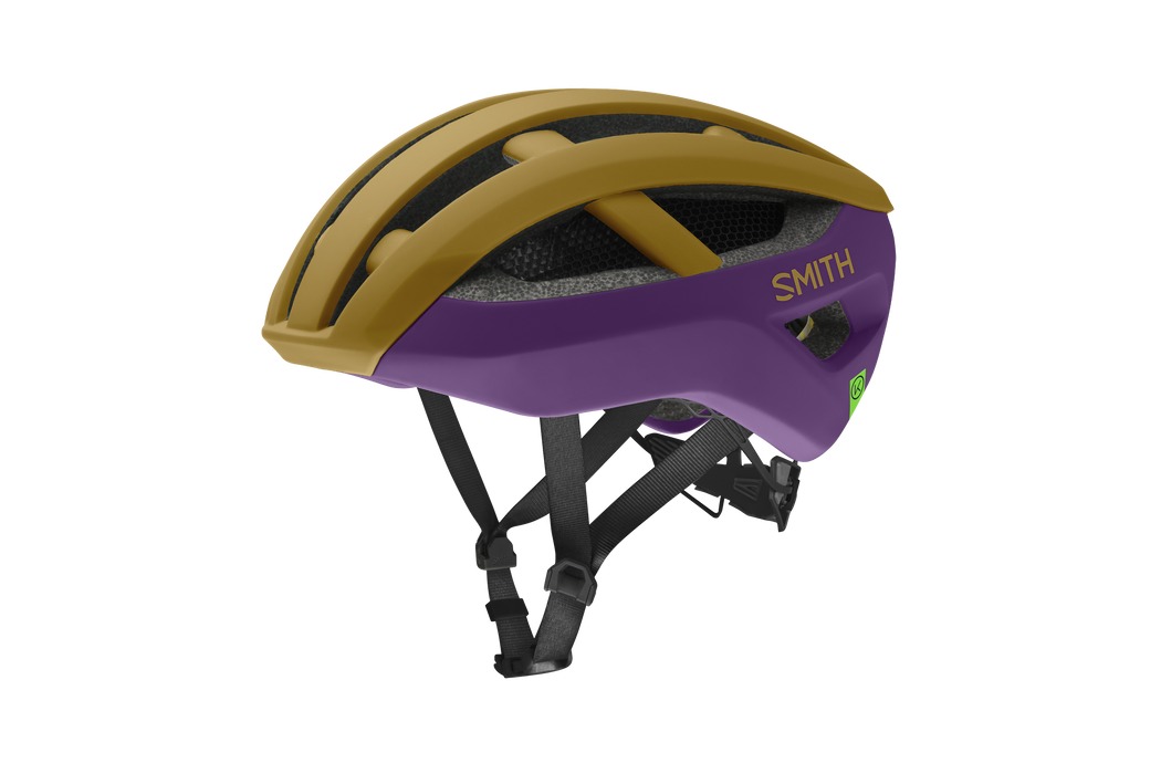 Smith Network Helmet