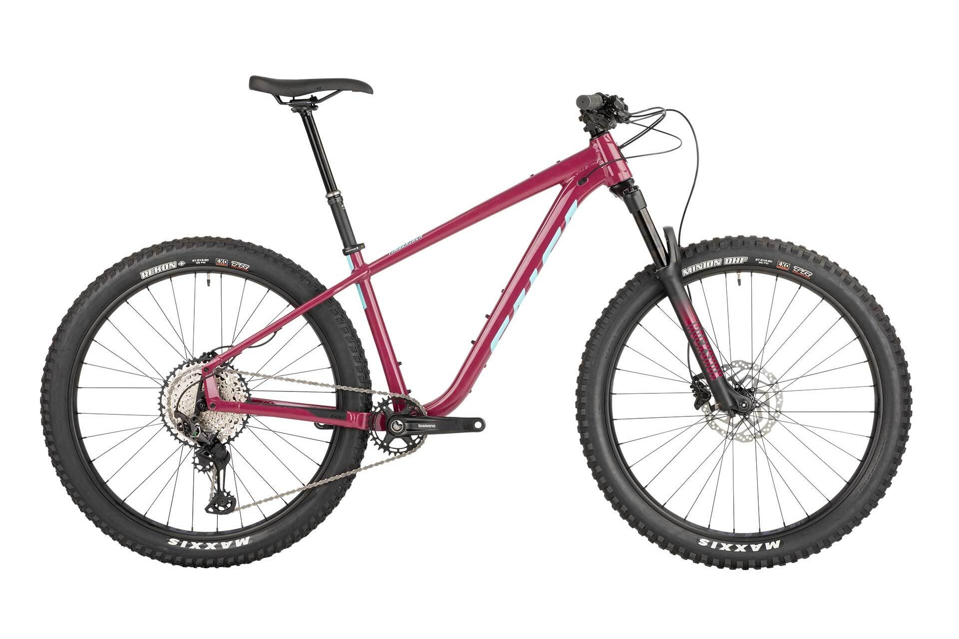 Salsa 2021 Timberjack XT Aluminum