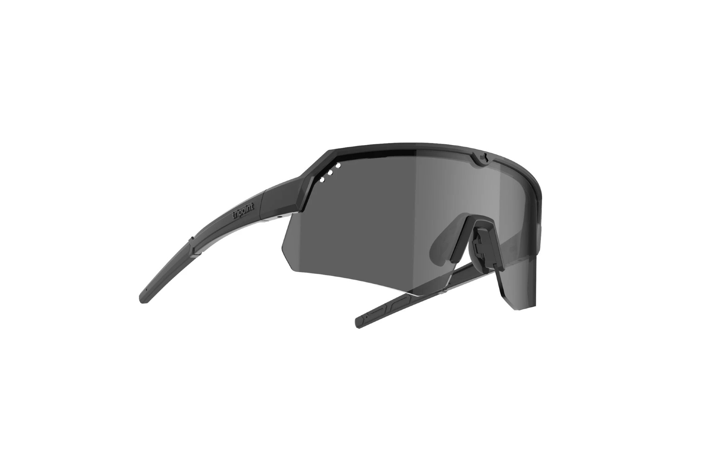 Tripoint 001 Treriksroset