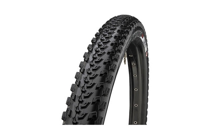 Specialized S-Works Fast Trak 2Bliss Tire