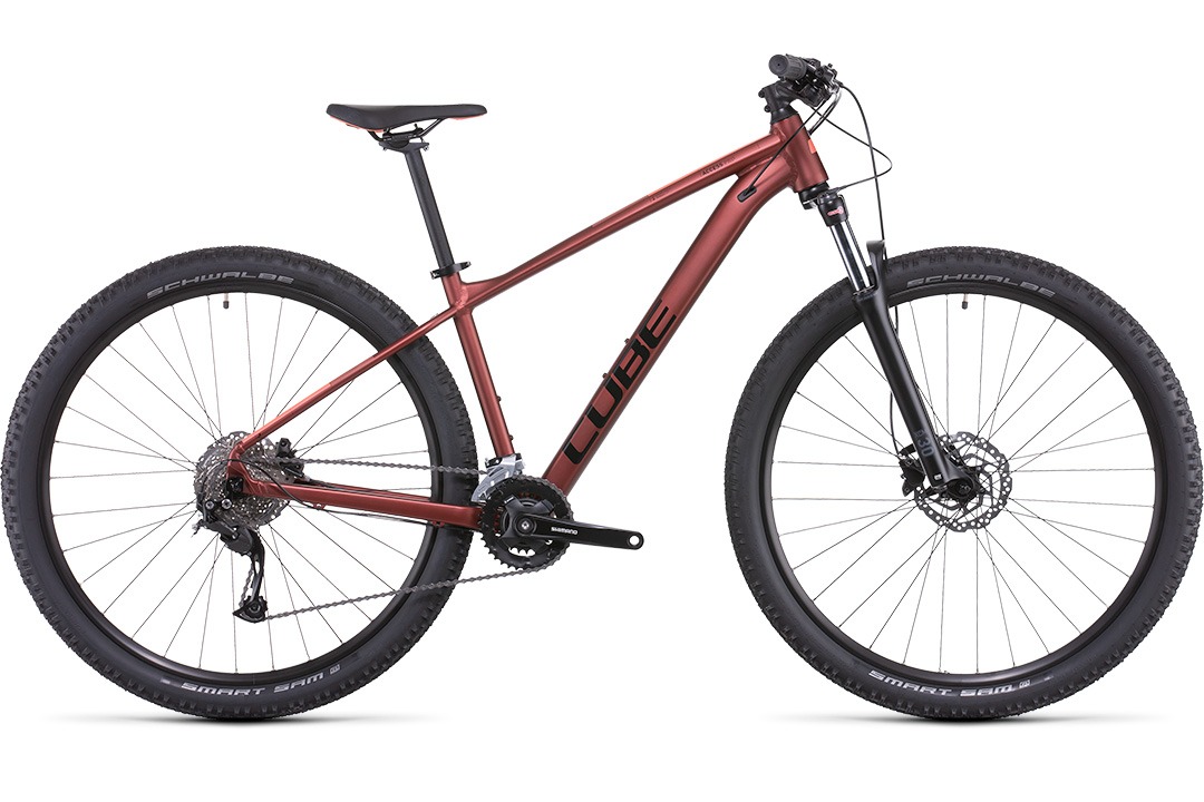 Cube 2022 Access WS Pro
