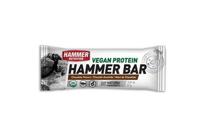 Hammer Nutrition Bar Vegan Protein